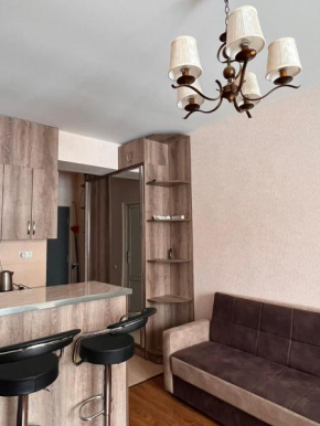 cozy apartments in Bakuriani